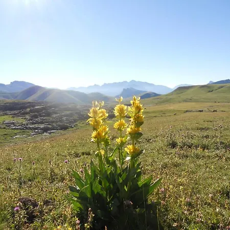 Konukevi Casa Patricio *