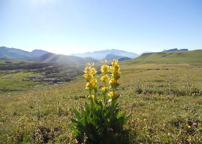 Pensión Casa Patricio *